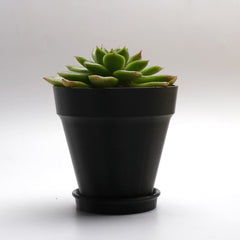 eSUN eASA 1.75mm 3D Filament 1KG