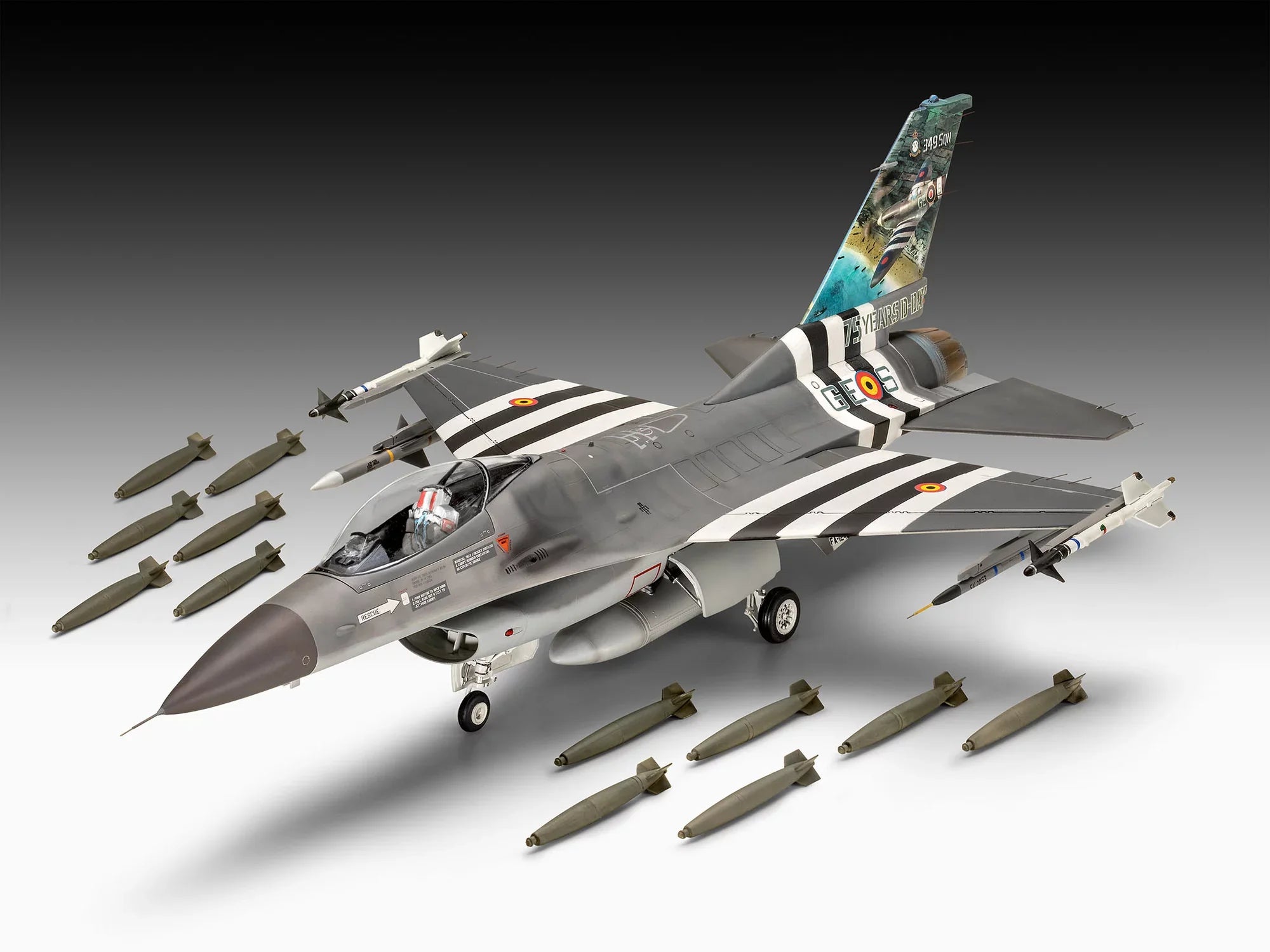 F-16 Falcon 50th Anniversary