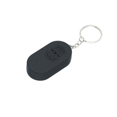 Pedestrian Push-Button With Audio Toy/Key Chain