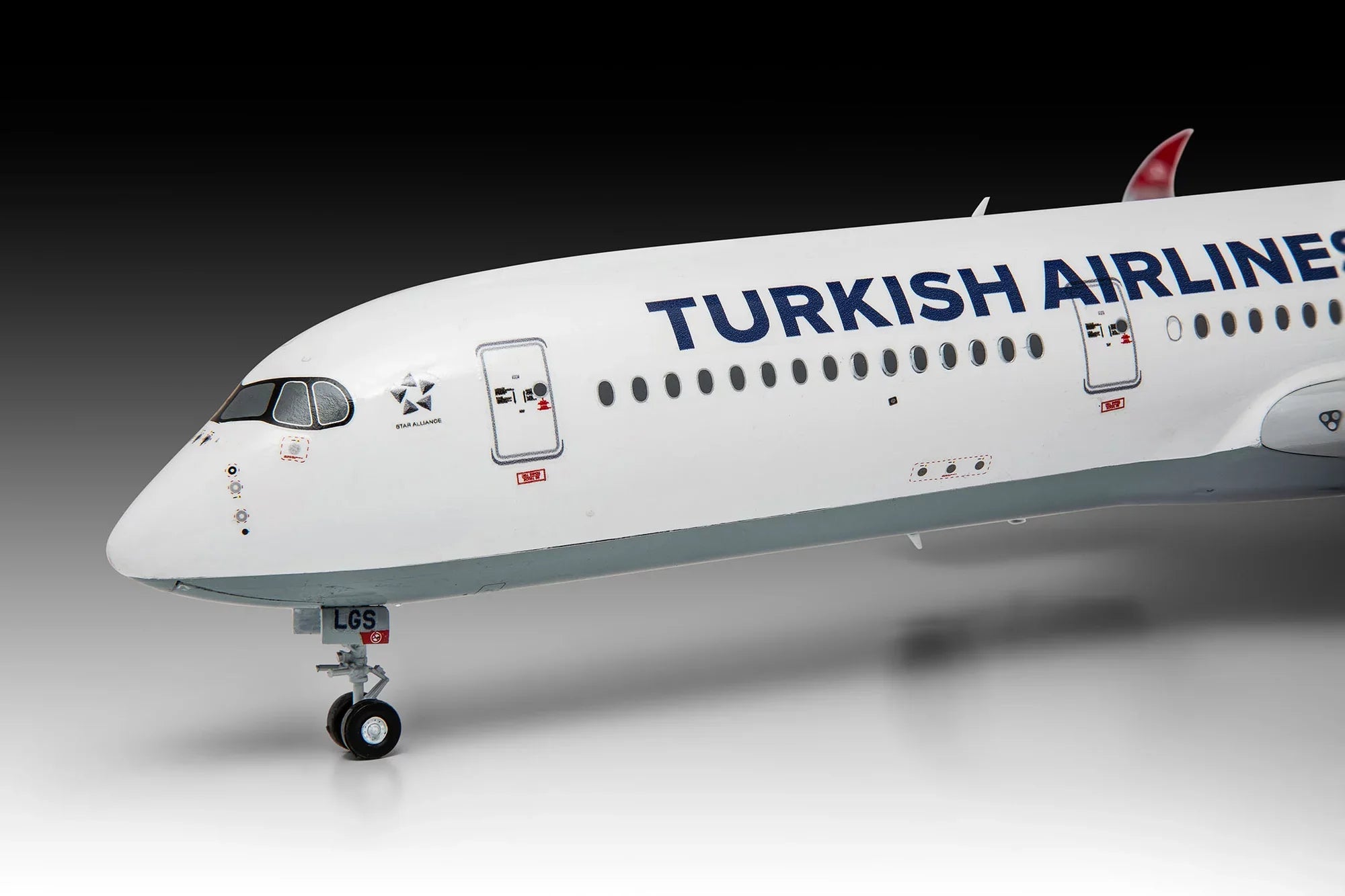 Airbus A350-900 "Turkish Airlines"