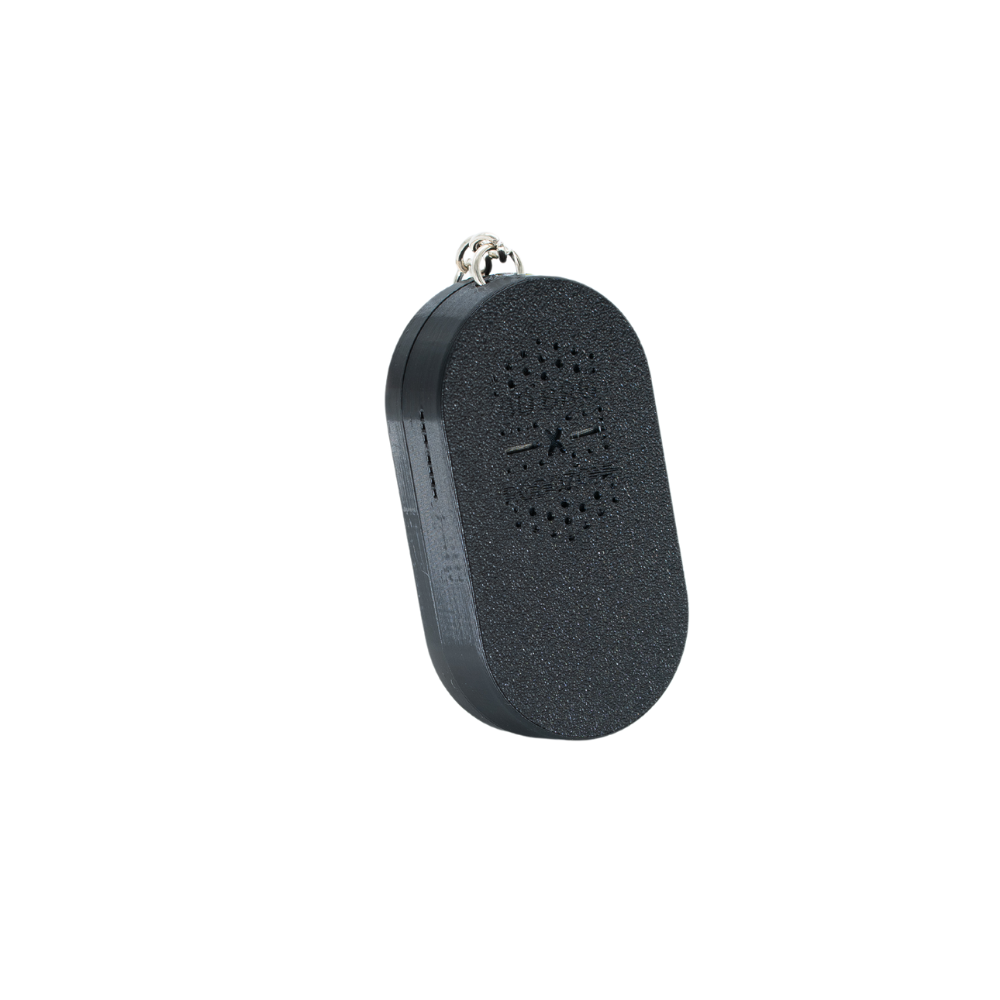 Pedestrian Push-Button With Audio Toy/Key Chain