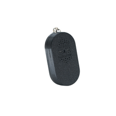 Pedestrian Push-Button With Audio Toy/Key Chain