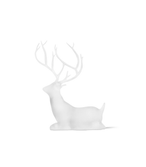 Phrozen Standard Clear Plus Resin