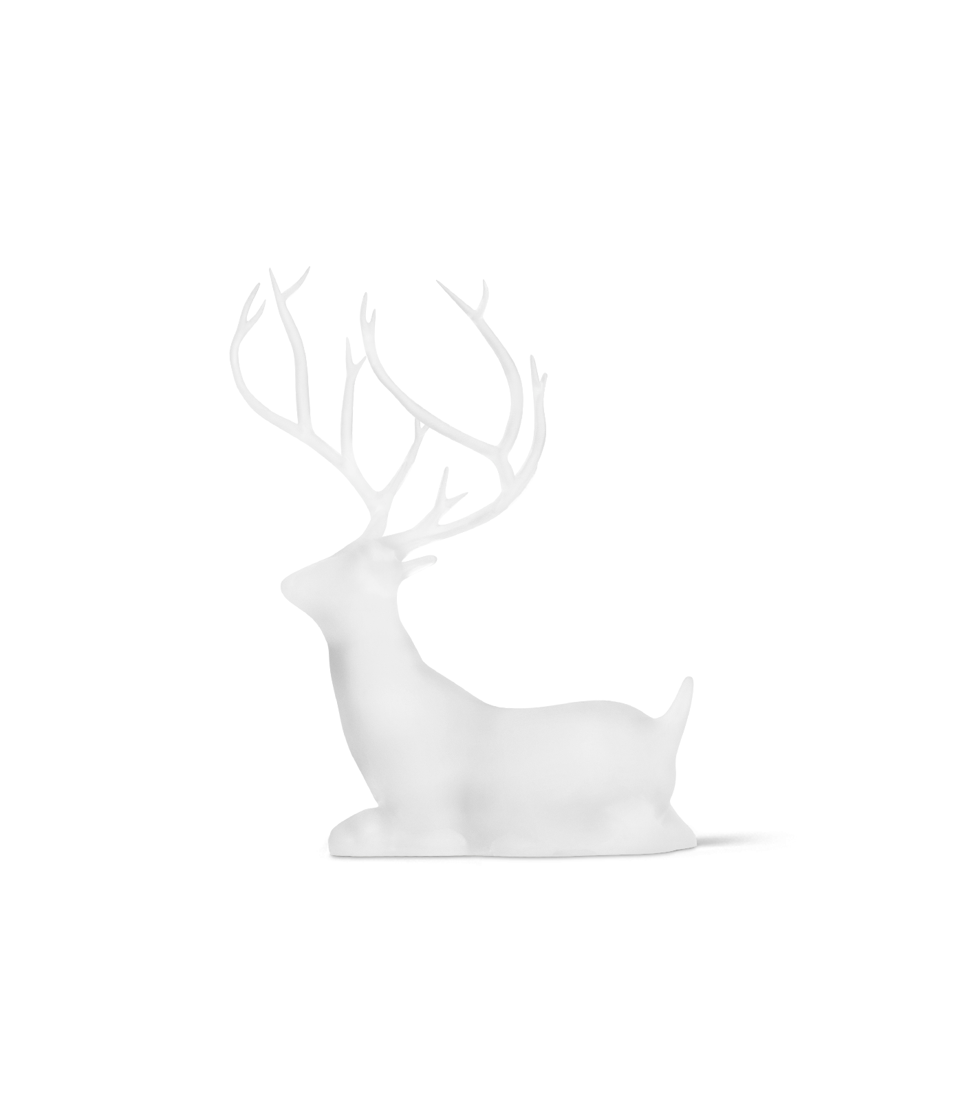 Phrozen Standard Clear Resin