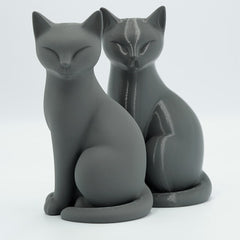 Fiberlogy Matte PLA Filament - Matte finish, Professional 3D Printing filament, Easy to print, Biodegradable 1.75mm, 0.85kg