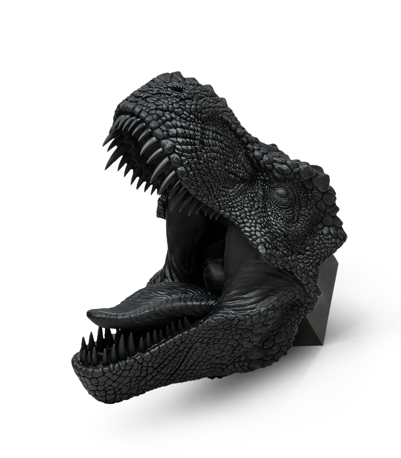 Phrozen Standard Speed Plus Resin