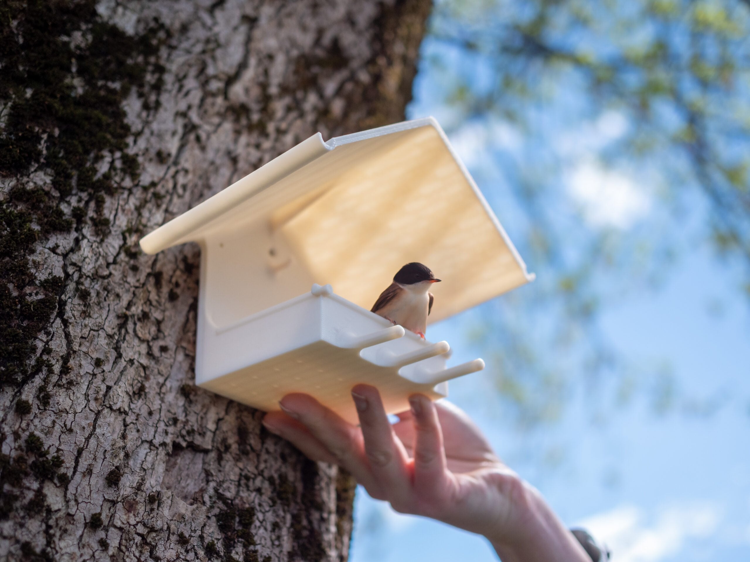 Azurefilm ASA Prime Filament