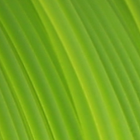 Fiberlogy PET-G Filament - Premium PETG 3D Printing Material Easy to Print, Highly Durable, Odorless 1.75mm, 0.85kg (1.87lbs.)