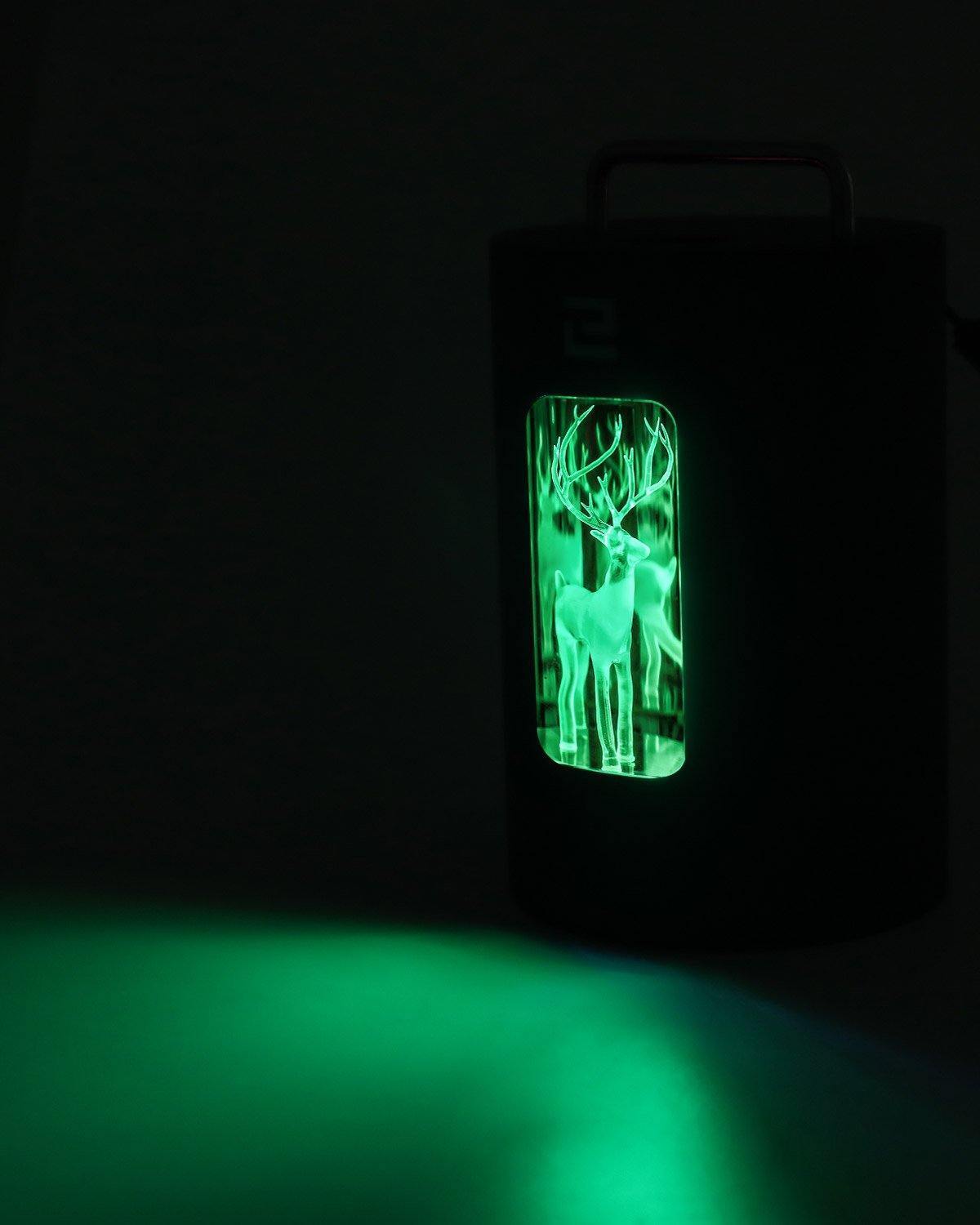 Mercury Curing Chamber